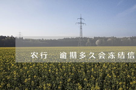 农行 逾期多久会冻结信用卡 农行 逾期多久会冻结信用卡